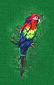 Parrot
