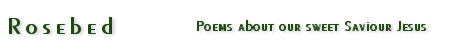 Poems about our Sweet Saviour Jesus