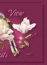 View Guestbook