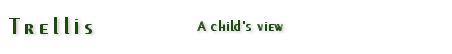 A child's view